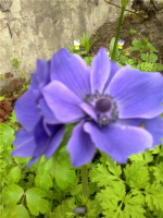  : 6a02ed826323.jpg