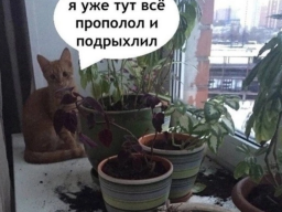  : IMG_3316.png