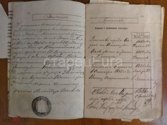 294631833.6.jpg, 185636 