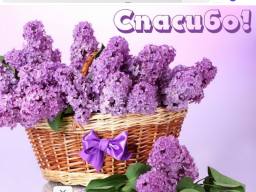  : IMG_3339.png