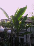  : 03.06.2011 025.jpg