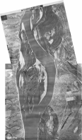  :   ( 1943.)  .jpg