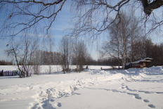  : DSC02171.JPG