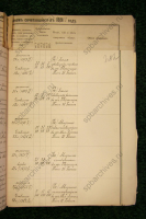  : adolf_plavinsk_marriage_381_2011.jpg