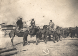 Zotov_IV_1931-Turkestan-03.jpg, 772943 