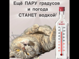  : IMG_3514.png