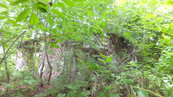  : DSCF9525.JPG