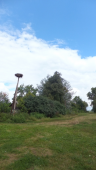  : DSCF9556.JPG