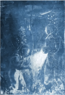 3.    ...png, 519151 
