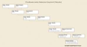 Przodkowie osoby Katarzyna Eysymont [Tołoczko].jpg, 108306 