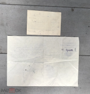   (274143068 (1).webp, 162572 )