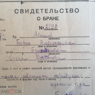   (248046041 (1).webp, 173110 )