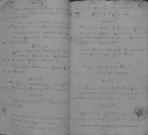 IMG_1221.JPG, 530427 