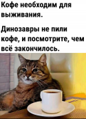  : IMG_6602.jpeg