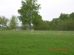  : DSCN0244 1.jpg