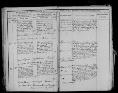  : ,   1887 .  (. 4, . 1 ., . 104) .jpg