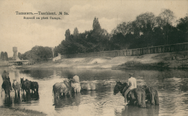 13.jpg, 181252 