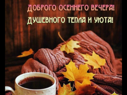  : IMG_4059.png
