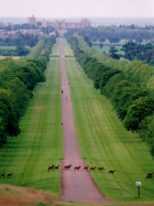  : Windsor_German_wiki_GNU-Martin_Morgenstern.jpg