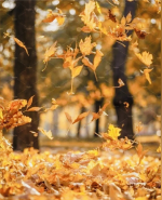  : IMG_0822.jpeg