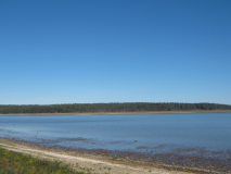  : IMG_2631.JPG
