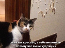  : IMG_4103.png