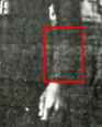  : Screenshot_1.jpg