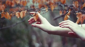  : 491.webp