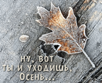  : 168.gif