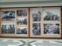 IMG_20211023_215237.jpg, 3949716 