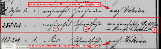  : file (3).png