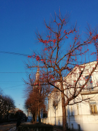  : IMG_20241204_140453.jpg