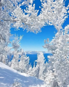  : 12.webp