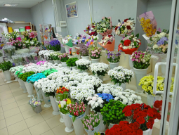  : Flowers.jpg