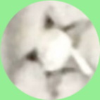  : 1512_2.jpg