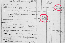  : 1782.jpg