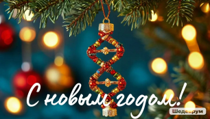 photo_2024-12-31_18-29-02.jpg, 99584 