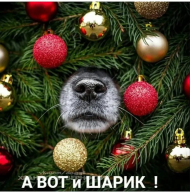 kHIZPWdiqeY.jpg, 223820 