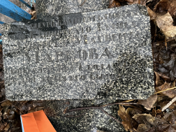 IMG_8092.jpeg, 4720139 ����