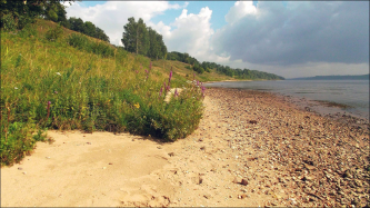  : 0. DSCF0978. -.   ..JPG