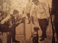  : d_1898_petrovskij_s_uchenja_na_uchene_sobaka_soldaty_jumor (1).jpg