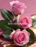  : IMG-20250116-WA0001.jpg