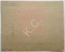 330041150 (3).webp, 148120 