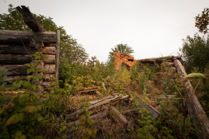  : 220915_Ivanovo-Podbelskoe-8614.jpg