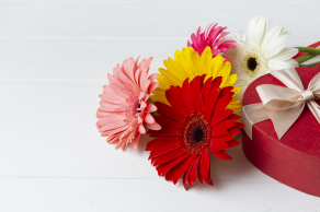  : high-view-gerbera-flowers-chocolate-gift.jpg