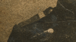  : img252_1.jpg