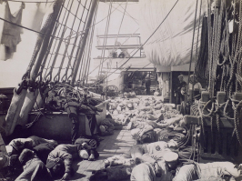  : 1890 . .   .jpg