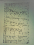 DSC01238.jpg, 4294421 