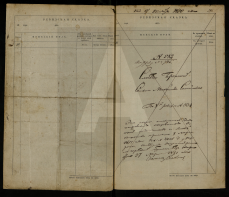  : image1.jpg