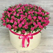  : orig.webp